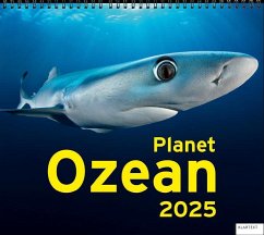 Kalender Planet Ozean 2025 von Klartext-Verlagsges.